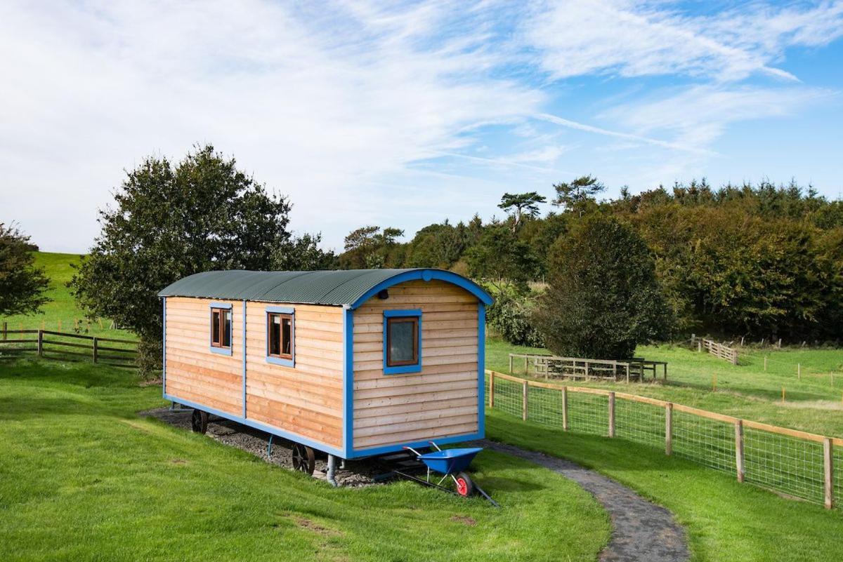 Cow Parsley Shepherd'S Hut Berwick Upon Tweed Ngoại thất bức ảnh