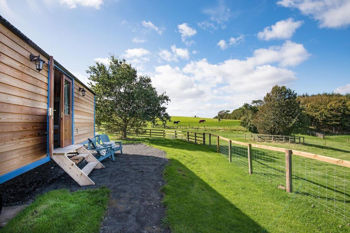 Cow Parsley Shepherd'S Hut Berwick Upon Tweed Ngoại thất bức ảnh