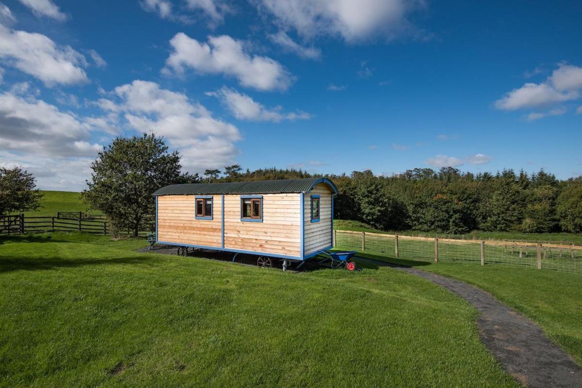 Cow Parsley Shepherd'S Hut Berwick Upon Tweed Ngoại thất bức ảnh